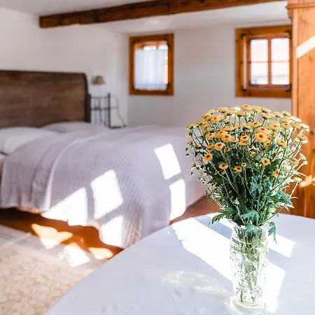 Froebel Daire Bad Liebenstein