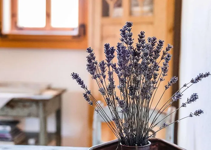 Froebel * Bad Liebenstein